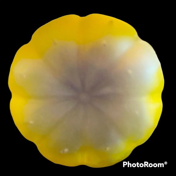 Exquisite Hand Blown Glass Organic Shaped Piece. Artist used ComplementaryColors - Picture 3 of 4